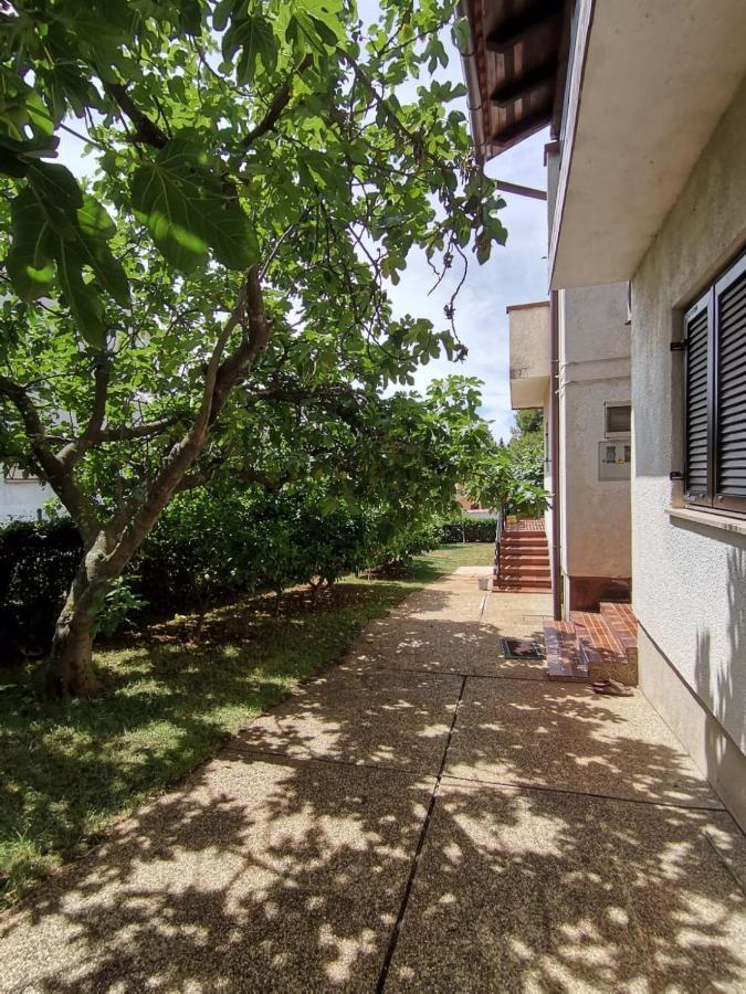 Figa Appartement